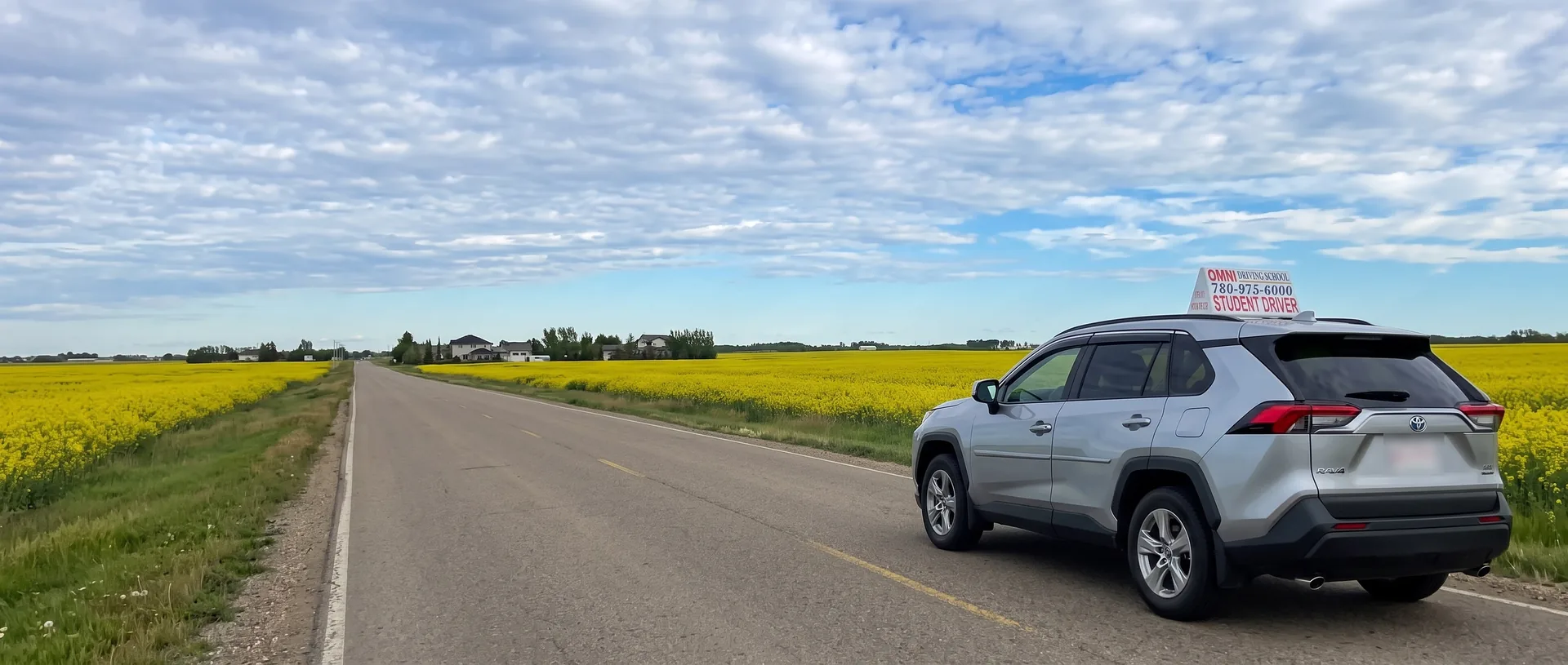 The Omni Driving School car on a country road between yellow canola fields